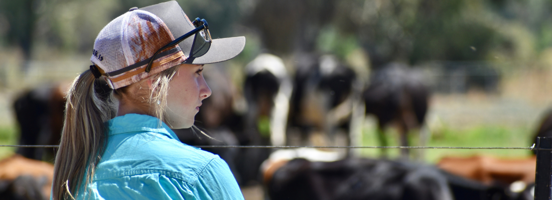 A young woman looks out over a herd of cattle.